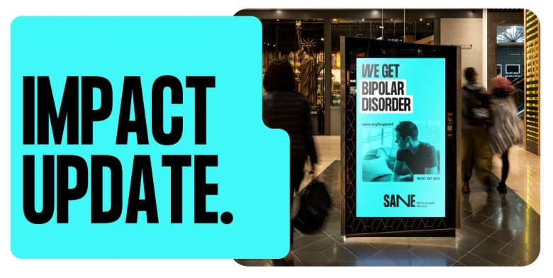 SANEs 2022 Impact Update Wrap Up
