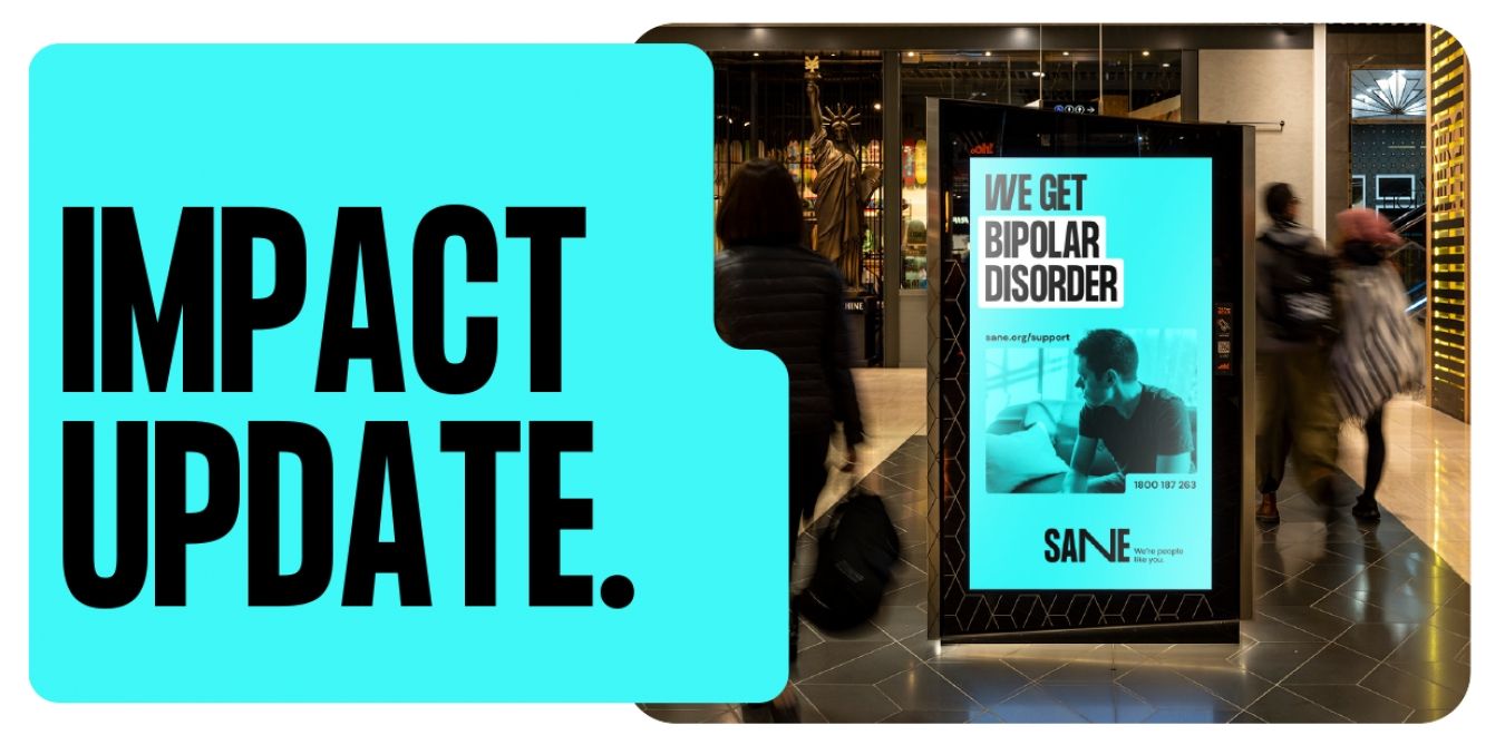 SANEs 2022 Impact Update Wrap Up