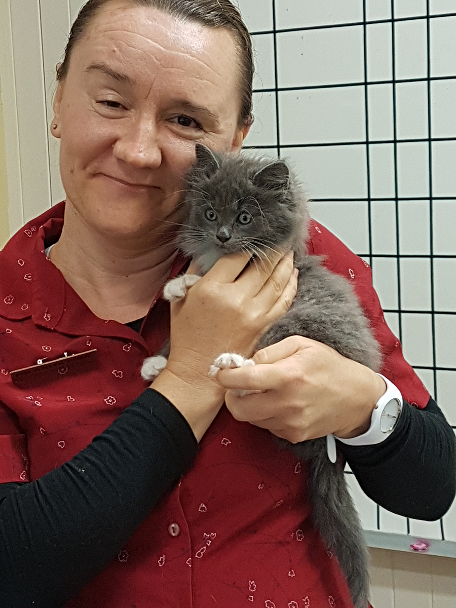 Anita working at a vet, holding a small kitten